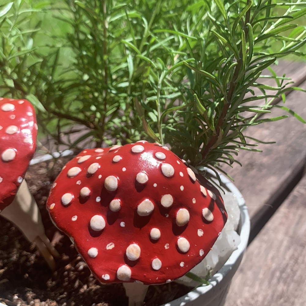 [1] Garden Stake MUSHROOM w/ SPOTS! 🙌🏽❤️🌈 - Picture 6 of 11